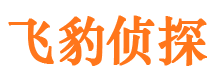 迎江外遇出轨调查取证